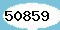  Please type the text that <br>appears in the picture